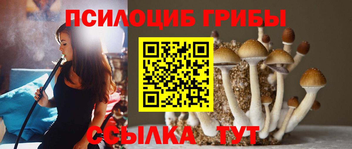 Псилоцибиновые грибы Magic Shrooms Добрянка